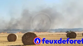 Incendie à Sierville - Seine-Maritime - 12 juillet 2026 - Feux de forêts et d'espaces naturels