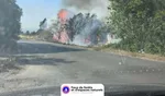 Cuxac-d'Aude (11)
