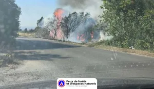 Cuxac-d'Aude (11)
