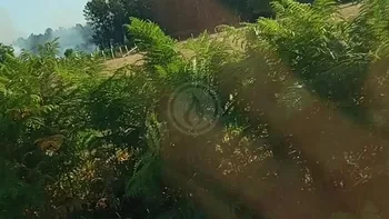 Incendie à Ruaudin - Sarthe - 12 juillet 2026 - Feux de forêts et d'espaces naturels