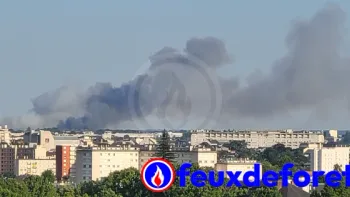 Incendie à Ruaudin - Sarthe - 12 juillet 2026 - Feux de forêts et d'espaces naturels