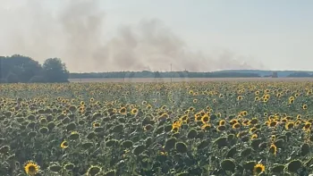 Incendie à Saint-Pierre-de-Maillé - Vienne - 12 juillet 2026 - Feux de forêts et d'espaces naturels