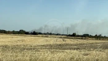 Incendie à Saint-Pierre-de-Maillé - Vienne - 12 juillet 2026 - Feux de forêts et d'espaces naturels