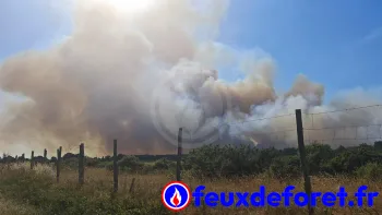 Incendie à Saint-Pierre-de-Maillé - Vienne - 12 juillet 2026 - Feux de forêts et d'espaces naturels
