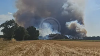 Incendie à Saint-Pierre-de-Maillé - Vienne - 12 juillet 2026 - Feux de forêts et d'espaces naturels