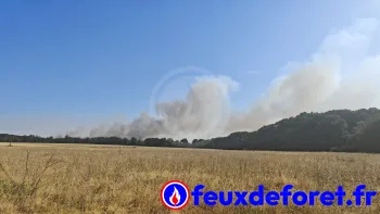 Incendie à Saint-Pierre-de-Maillé - Vienne - 12 juillet 2026 - Feux de forêts et d'espaces naturels