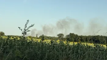Incendie à Saint-Pierre-de-Maillé - Vienne - 12 juillet 2026 - Feux de forêts et d'espaces naturels