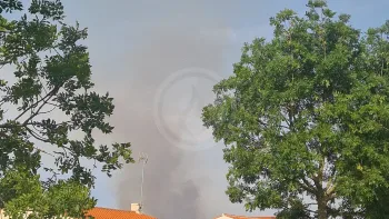 Incendie à Le Fenouiller - Vendée - 12 juillet 2026 - Feux de forêts et d'espaces naturels