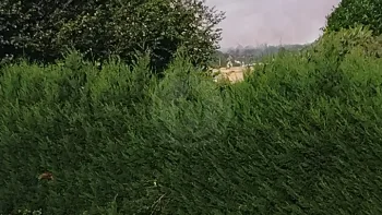 Incendie à Le Troncq - Eure - 12 juillet 2026 - Feux de forêts et d'espaces naturels