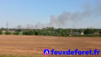 Incendie à Le Troncq - Eure - 12 juillet 2026 - Feux de forêts et d'espaces naturels