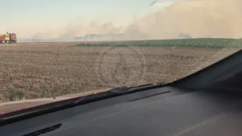 Incendie à Le Troncq - Eure - 12 juillet 2026 - Feux de forêts et d'espaces naturels