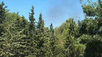 Incendie à Loupian - Hérault - 18 juin 2026 - Feux de forêts et d'espaces naturels