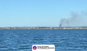 Incendie à Loupian (34) : le feu est éteint