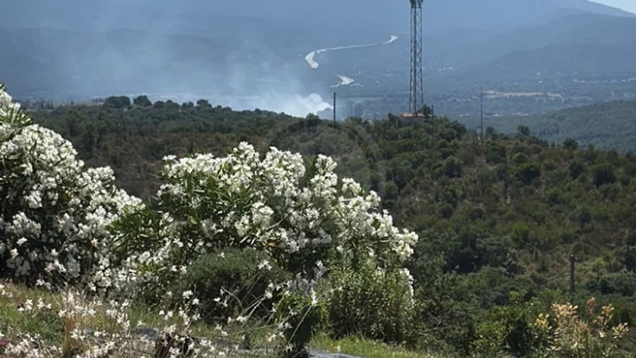 Incendie à Saint-Jean-Pla-de-Corts - Pyrénées-Orientales - 18 juin 2026 - Feux de forêts et d'espaces naturels