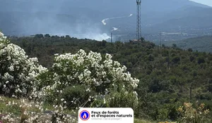Incendie à Saint-Jean-Pla-de-Corts (66) : le feu est éteint