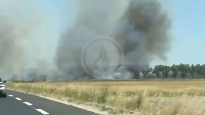 Incendie à Arles - Bouches-du-Rhône - 18 juin 2026 - Feux de forêts et d'espaces naturels