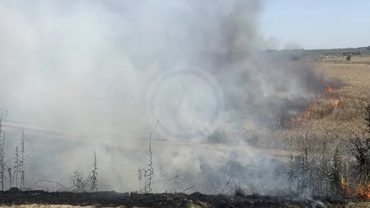 Incendie à Arles - Bouches-du-Rhône - 18 juin 2026 - Feux de forêts et d'espaces naturels