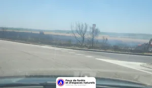 Incendie à Arles (13) : le feu est éteint