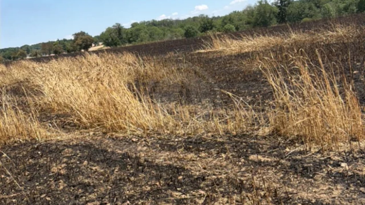 Incendie à Rancon - Haute-Vienne - 18 juin 2026 - Feux de forêts et d'espaces naturels