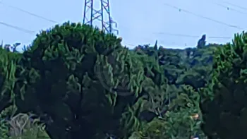 Incendie à Perpignan - Pyrénées-Orientales - 13 juillet 2026 - Feux de forêts et d'espaces naturels
