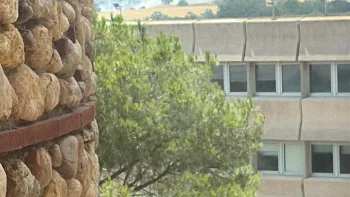 Incendie à Perpignan - Pyrénées-Orientales - 13 juillet 2026 - Feux de forêts et d'espaces naturels