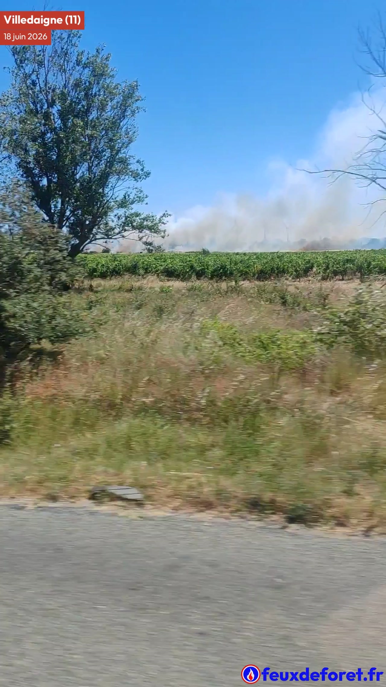 Incendie à Villedaigne - Aude - 18 juin 2026 - Feux de forêts et d'espaces naturels