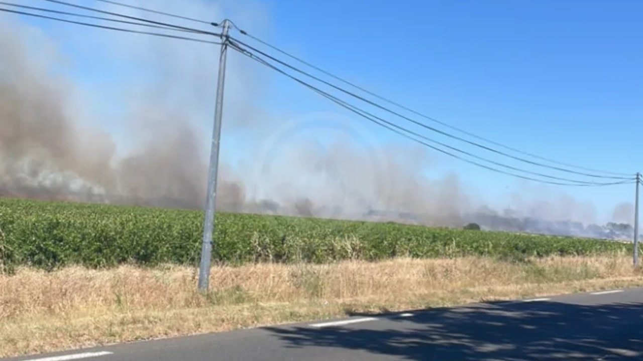 Incendie à Villedaigne - Aude - 18 juin 2026 - Feux de forêts et d'espaces naturels
