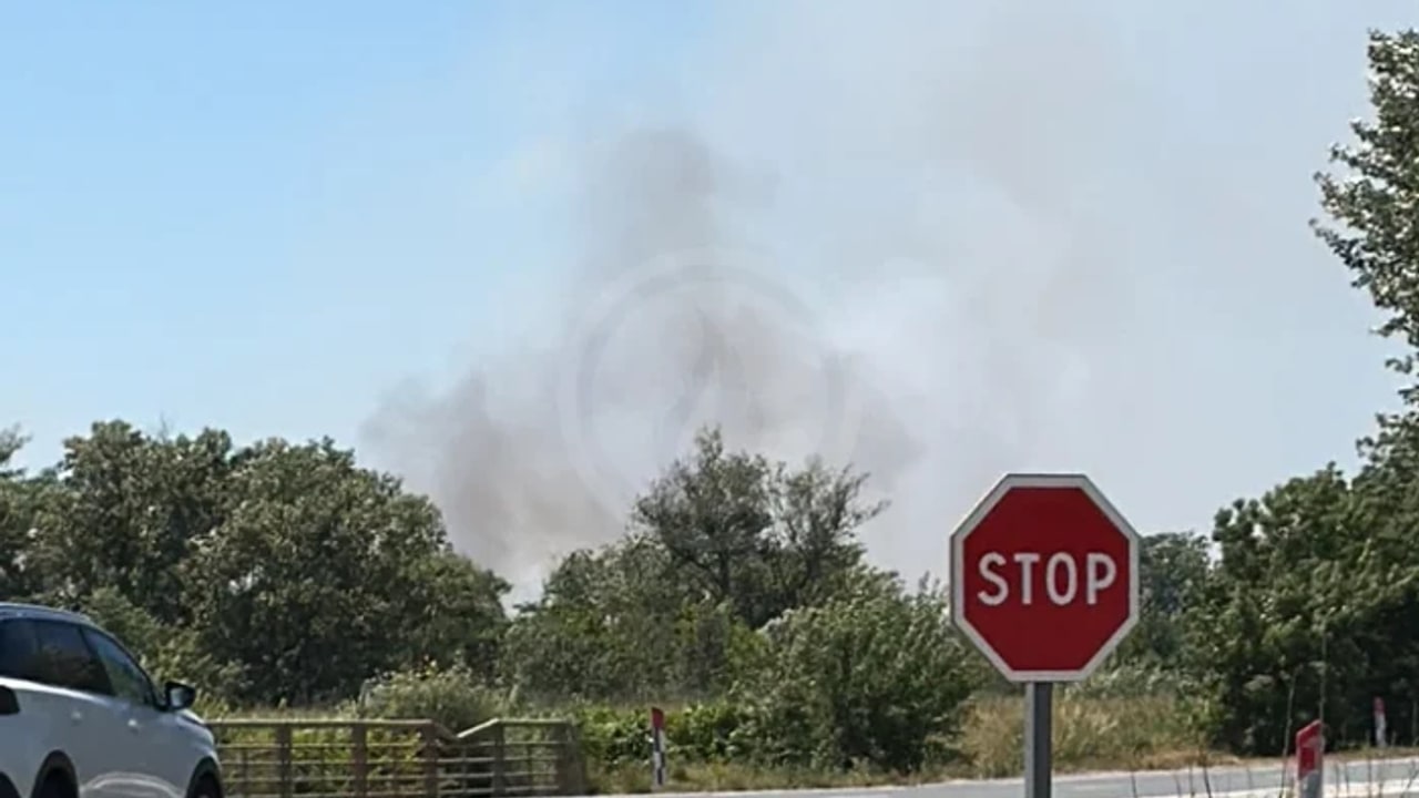 Incendie à Villedaigne - Aude - 18 juin 2026 - Feux de forêts et d'espaces naturels