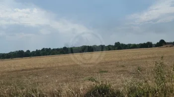 Incendie à Thésée - Loir-et-Cher - 13 juillet 2026 - Feux de forêts et d'espaces naturels