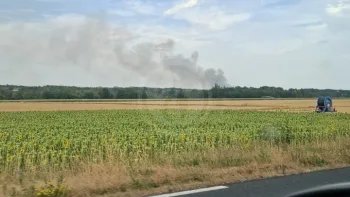 Incendie à Thésée - Loir-et-Cher - 13 juillet 2026 - Feux de forêts et d'espaces naturels