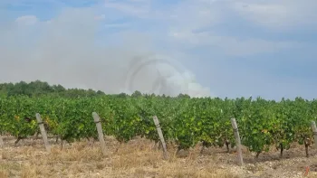 Incendie à Thésée - Loir-et-Cher - 13 juillet 2026 - Feux de forêts et d'espaces naturels