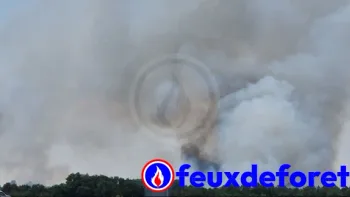 Incendie à Thésée - Loir-et-Cher - 13 juillet 2026 - Feux de forêts et d'espaces naturels