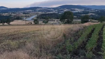 Incendie à Saint Bonnet-Laval - Lozère - 13 juillet 2026 - Feux de forêts et d'espaces naturels