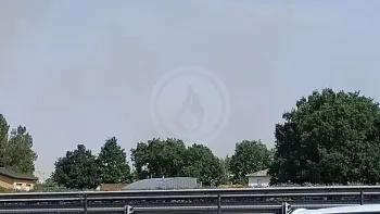 Incendie à L'Herbergement - Vendée - 13 juillet 2026 - Feux de forêts et d'espaces naturels