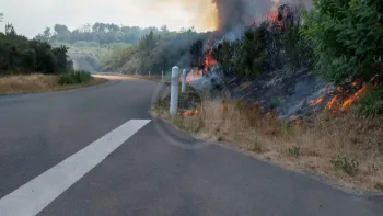 Incendie à Montfort-le-Gesnois - Sarthe - 13 juillet 2026 - Feux de forêts et d'espaces naturels