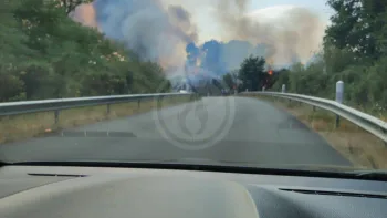 Incendie à Montfort-le-Gesnois - Sarthe - 13 juillet 2026 - Feux de forêts et d'espaces naturels