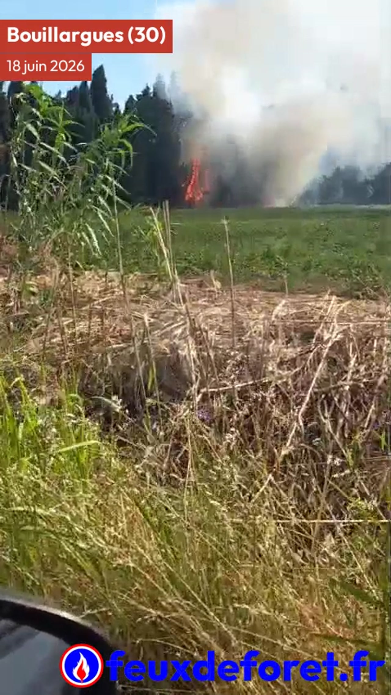 Incendie à Bouillargues - Gard - 18 juin 2026 - Feux de forêts et d'espaces naturels