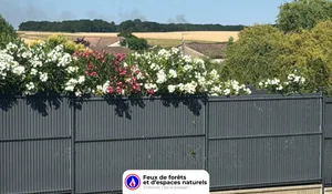 Laroque-Timbaut (47)