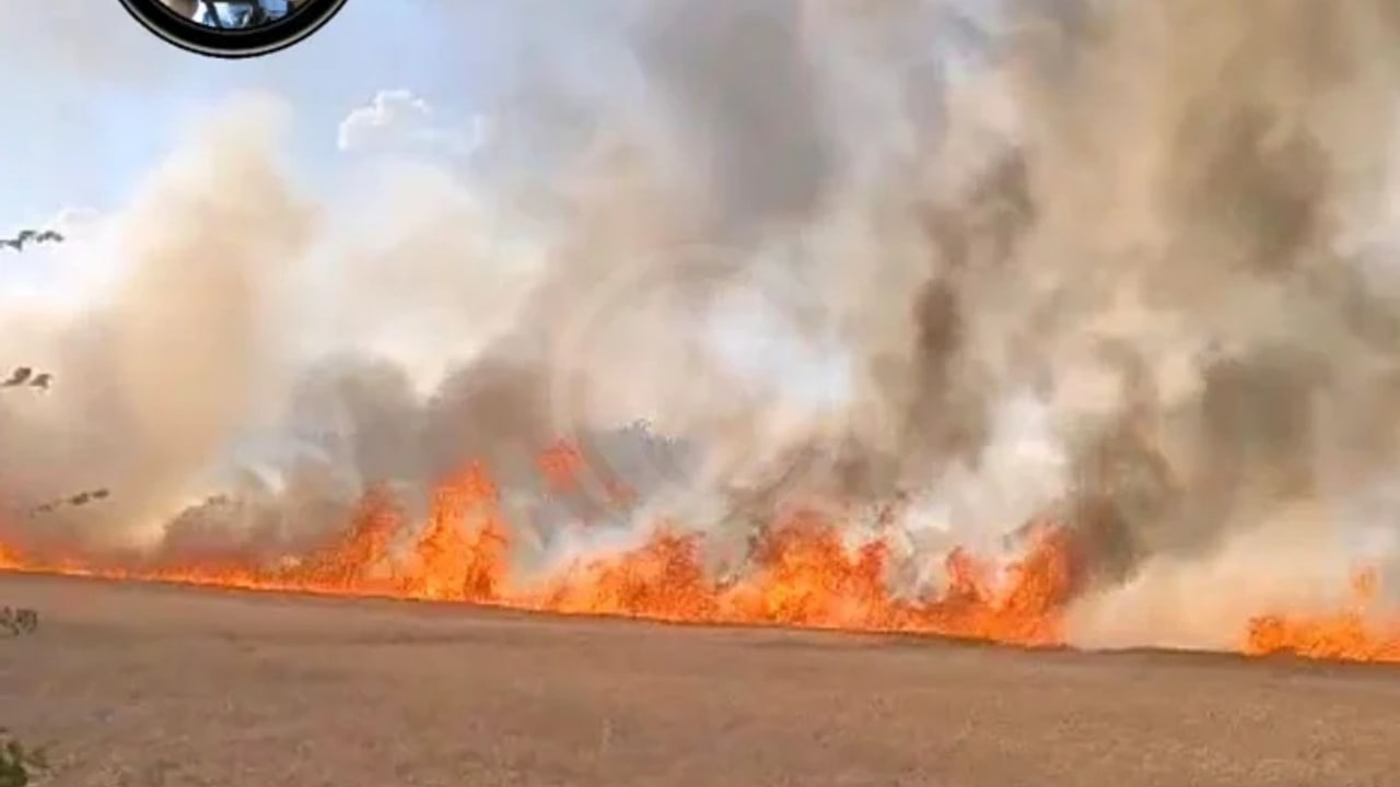 Incendie à La Ferrière-Airoux - Vienne - 18 juin 2026 - Feux de forêts et d'espaces naturels