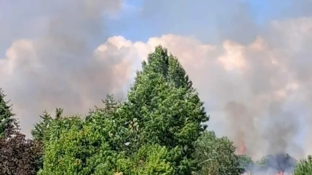 Incendie à Saint-Martinien - Allier - 18 juin 2026 - Feux de forêts et d'espaces naturels