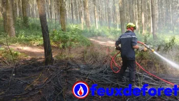 Incendie à Chénelette - Rhône - 14 juillet 2026 - Feux de forêts et d'espaces naturels