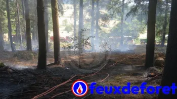 Incendie à Chénelette - Rhône - 14 juillet 2026 - Feux de forêts et d'espaces naturels