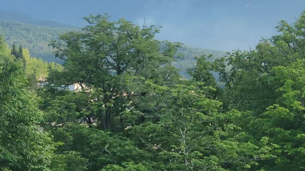 Incendie à Rivel - Aude - 18 juin 2026 - Feux de forêts et d'espaces naturels