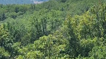 Incendie à Flaujac-Poujols - Lot - 14 juillet 2026 - Feux de forêts et d'espaces naturels