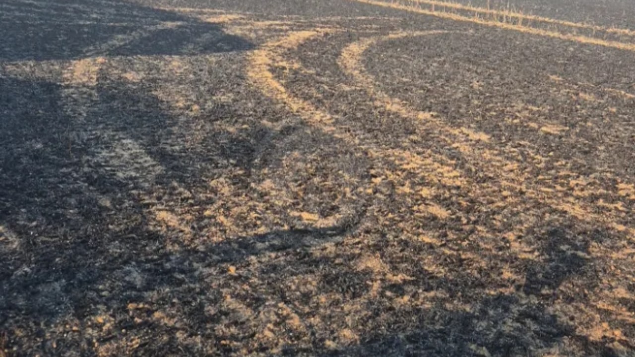 Incendie à Vasles - Deux-Sèvres - 18 juin 2026 - Feux de forêts et d'espaces naturels