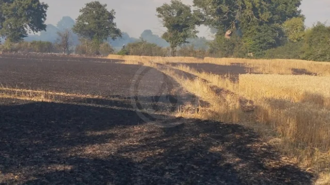 Incendie à Vasles - Deux-Sèvres - 18 juin 2026 - Feux de forêts et d'espaces naturels