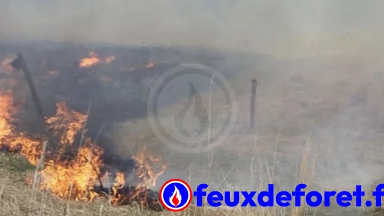 Incendie à Niort - Deux-Sèvres - 18 juin 2026 - Feux de forêts et d'espaces naturels