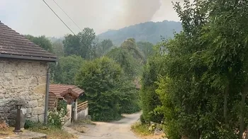 Incendie à Montcusel - Jura - 14 juillet 2026 - Feux de forêts et d'espaces naturels