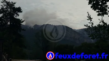 Incendie à Montcusel - Jura - 14 juillet 2026 - Feux de forêts et d'espaces naturels