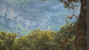 Incendie à Montcusel - Jura - 14 juillet 2026 - Feux de forêts et d'espaces naturels